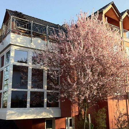 Gaestehaus Kirschgarten 보덴하임 외부 사진