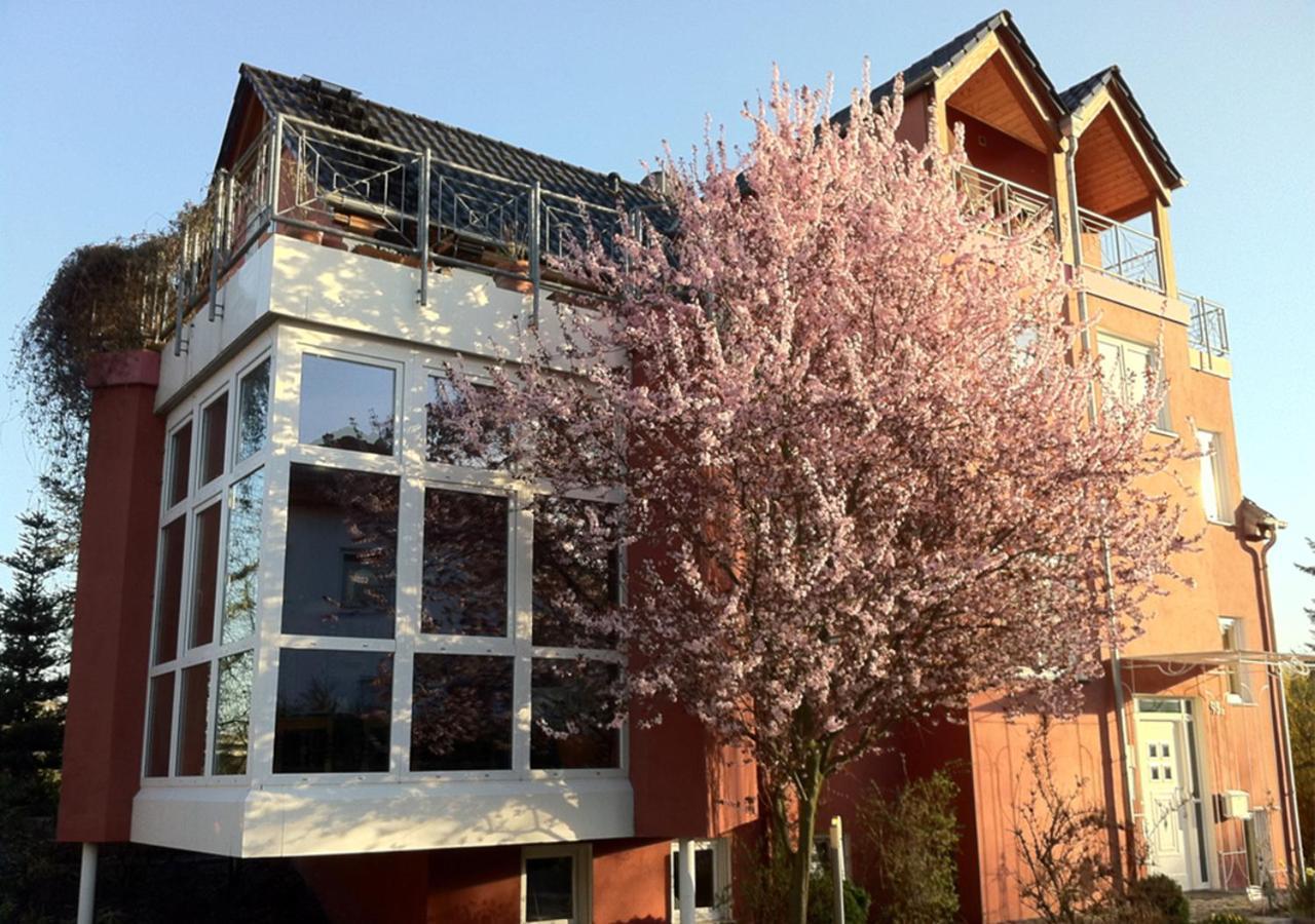 Gaestehaus Kirschgarten 보덴하임 외부 사진