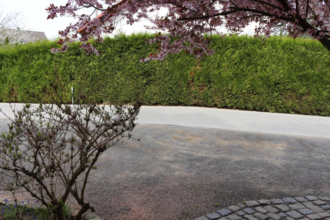 Gaestehaus Kirschgarten 보덴하임 외부 사진